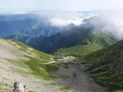 peperon ~即購入OK~の画像