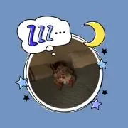 つちの画像