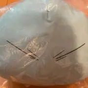 紺狐