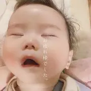 なすび