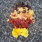 mの画像