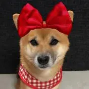 ひろん