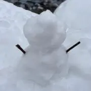 ももの画像