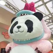 PXJの画像