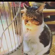 rainyの画像