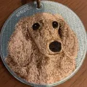 リッキーの画像