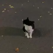 nr♡の画像