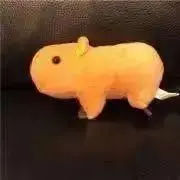 カピバラ肉　プロフ確認の画像