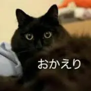 ぷるぷるの画像