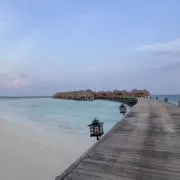 micoの画像