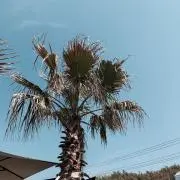 岩の画像