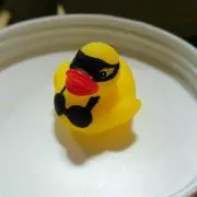 紫紅の画像