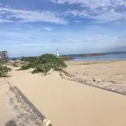 ミンチー
