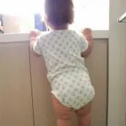 サリーの画像