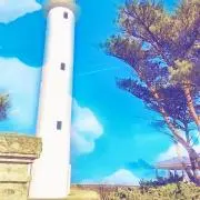 Freedomの画像