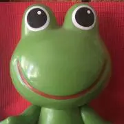 (*^o^*)の画像