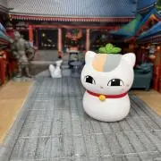 まりもの画像