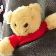 ルタの画像