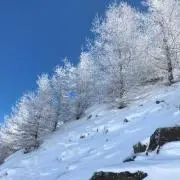 yocchan830の画像