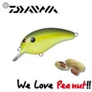 キーオの画像