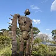 ひかるの画像