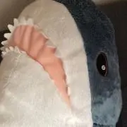 anの画像
