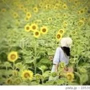 ⭐︎B-YMR 即日発送⭐︎の画像