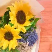 sunflowerの画像