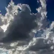 ewe_vの画像