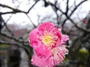 uminotakaの画像
