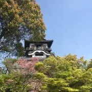 ぴかぴかりの画像