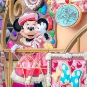 しぇりこの画像