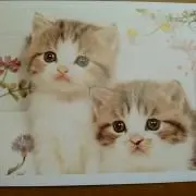 まるこママ