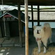 taku