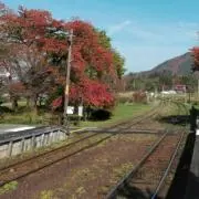 ほだかの画像