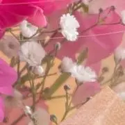 maの画像