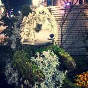 Kumaの画像
