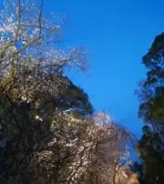 morimoriの画像
