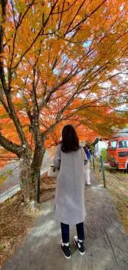hanaの画像