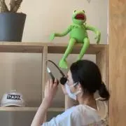 pipi