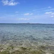 KKの画像