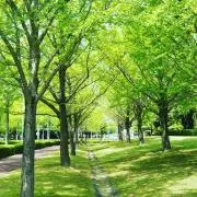 スーパーおちくん