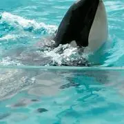 あいうえお