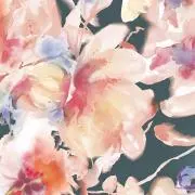 honeybearの画像