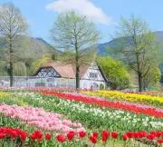 ん☆の画像