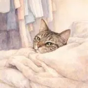 みーの画像