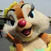 Clariceの画像