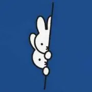 ○○○の画像
