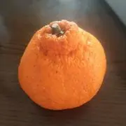 おいしいおもち