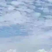 りんごの画像